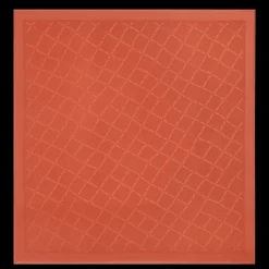 Discount Longchamp Châle Le Roseau Paprika