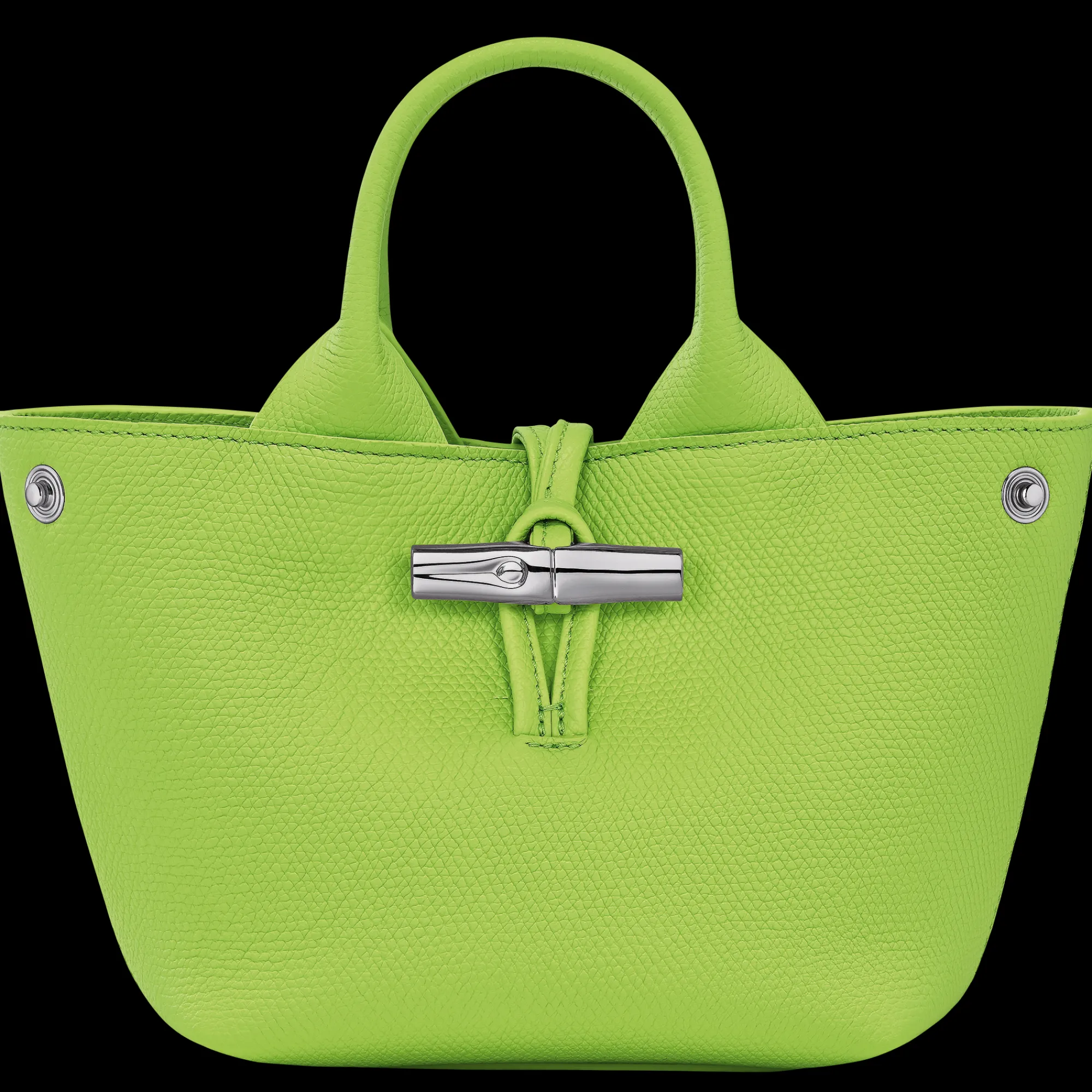 Longchamp Sac à Main XS Le Roseau Vert Lumière