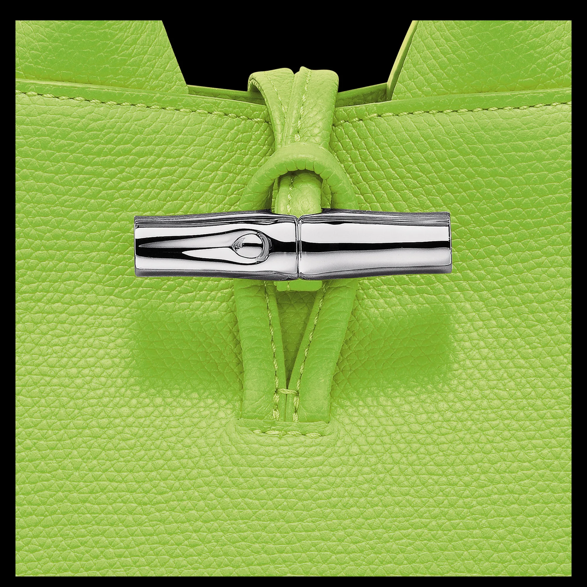 Longchamp Sac à Main XS Le Roseau Vert Lumière